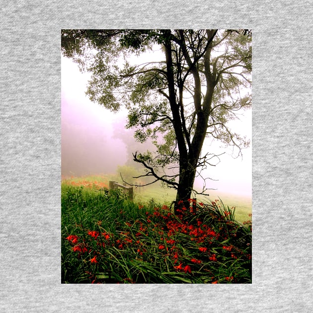 Foggy Roadside Red by Tovers